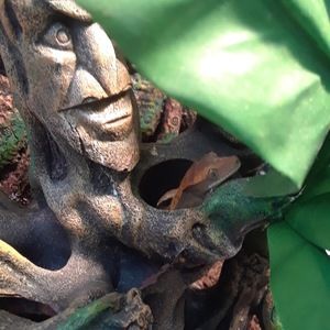 Meet your Posher, Carrie